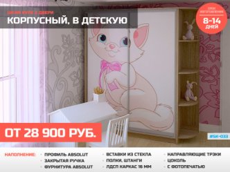 Шкаф глубиной 60 см на заказ корпусный с фотопечатью
