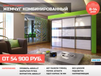шкаф купе глубина 60 см в гостиную встроенный