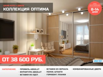 шкаф купе глубина 60 см встроенный гостиная