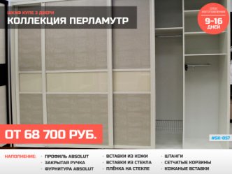 шкаф купе глубина 60 см встроенный спальня