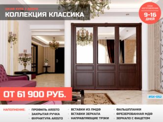 шкаф купе глубина 60 см классика встроенный