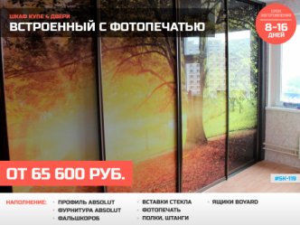 шкаф купе глубина 60 см встроенный с фотопечатью