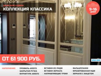 шкаф купе глубина 60 см в гостиную классический