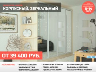 шкаф купе зеркало в спальню под заказ