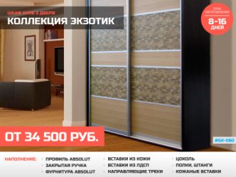 Шкаф глубиной 60 см на заказ корпусный в коридор