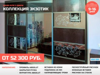 шкаф купе глубина 60 см встроенный спальня