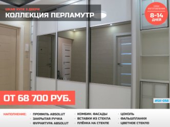 шкаф купе глубина 60 см встроенный в прихожую