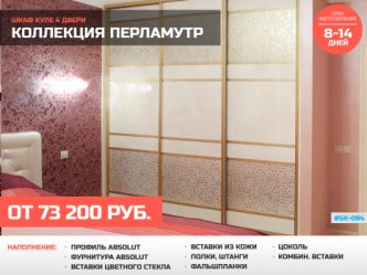 шкаф купе глубина 60 см в спальню встроенный фото
