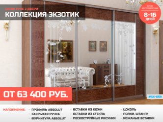 шкаф купе глубина 60 см в гостиную встроенный