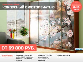 шкаф купе глубина 60 см корпусный фотопечать