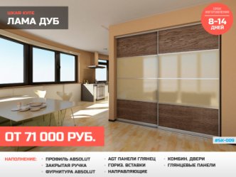 шкаф купе глубина 60 см в прихожую встроенный