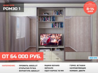 шкаф купе глубина 60 см в гостиную встроенный