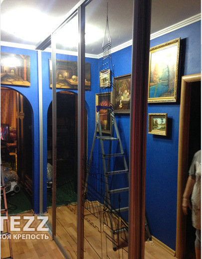 Зеркальные двери купе с рисунком